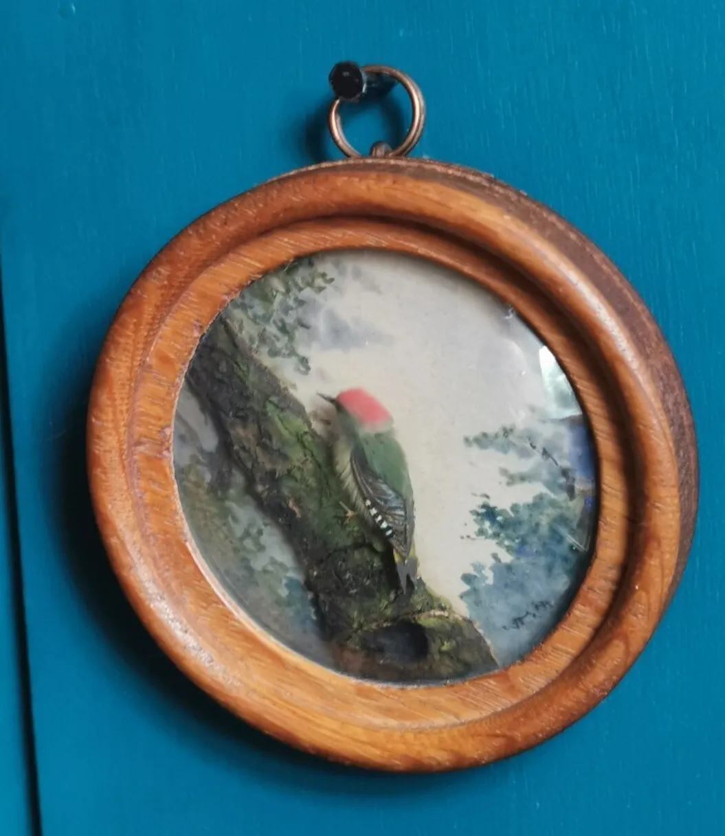 Green Woodpecker (Version 5)